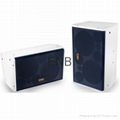 HOT selling professonal speaker 10'' sound system box 1