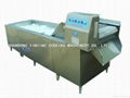 Automatic Vegetable washing machine vegetable washer 1