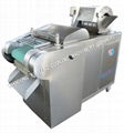 Multifunction Vegetable Cutting Machine