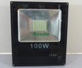 led 100w 30w 50w led flood light 100w smd5730 100-130lm/w new 3