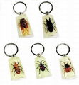 wholesale popular keychains as toys,keychains for promotion gifts  4