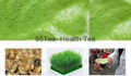 Pure Organic Wheat Grass Powder