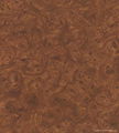 Burl wood hydrographics film whosale