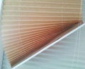 Customized Pleated Blind Roller Blind 2