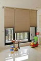 Customized Pleated Blind Roller Blind 4