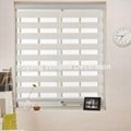 Simple Fashionable Zebra Roller Blind with High Quality 2