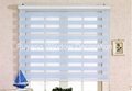 Simple Fashionable Zebra Roller Blind with High Quality 4