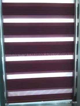 Hot Sell Copy Linnet Zebra Blind with Simple Profile 3