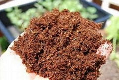 COCOPEAT (POWDER)