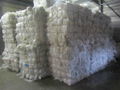 LDPE film Scrap 