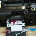 Professional Factory for Inkjet ID