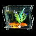 fish tank 5