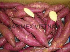 Vietnamese sweet potato