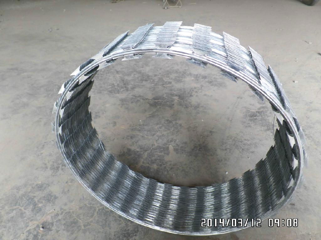 Single Coil Razor Wire 4