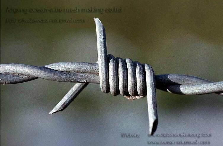 Barbed Wire 3