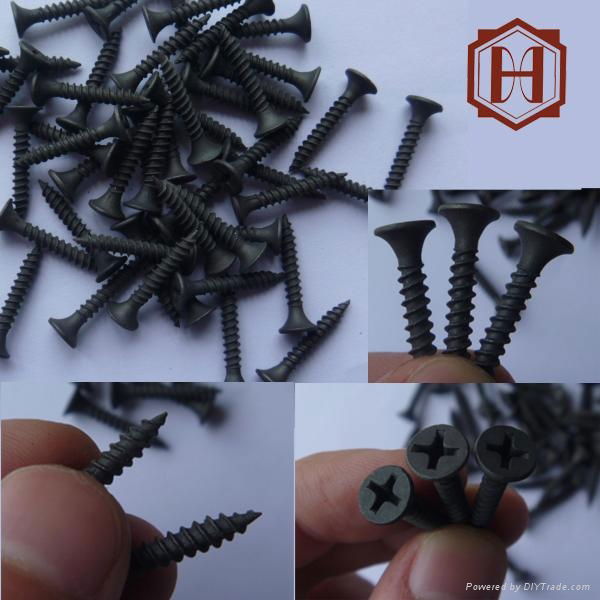 Bugle Head Phillips Drive Drywall Screws 5