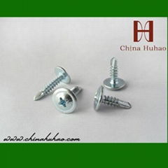 Self Drilling Screw