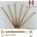 Double CSK Head Pozi Drive Chipboard Screw 3