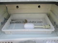 Cheap Price Industrial Incubators for Chicks (lh-14) 4