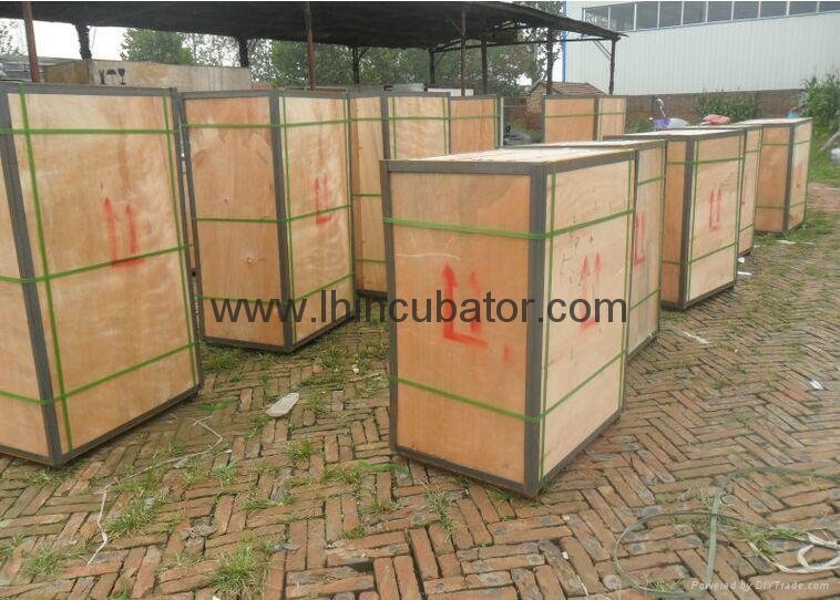 Wooden packed fully Automatic Egg Incubator for sale 5