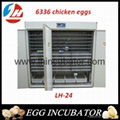 whosale 6336 eggs Automatic chicken