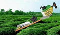 single blade gasoline engine hedge trimmer SL750B 1