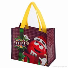 eco non woven shopping bag 