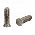 Riveted screw 1