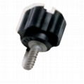 Riveted screw 5