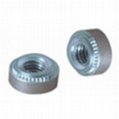 Stainless steel cold heading rivet nuts