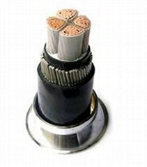 	450/750V Control Cable with PVC Insulation