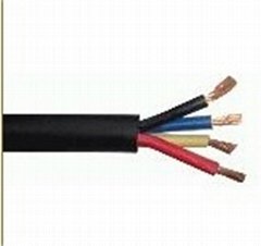 Flat control cable
