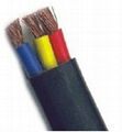 Flat control cable 3