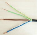 Flat control cable 4