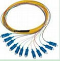 Optical Fiber Pigtail (0.9/2.0/3.0mm, SM