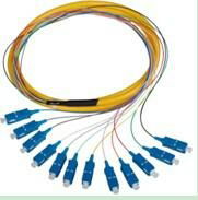 Optical Fiber Pigtail (0.9/2.0/3.0mm, SM/MM, SC/FC/LC, APC/UPC)