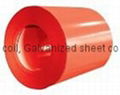 Prepainted Galvanized Sheet Coil