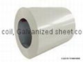 hot-dipped galvanized sheet coil 1