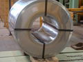 Prepainted Galvanized Sheet Coil 2