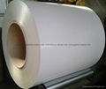 hot-dipped galvanized sheet coil 1