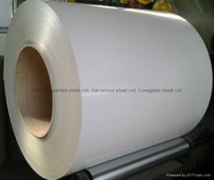 hot-dipped galvanized sheet coil