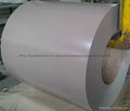 prepainted sheet coil 1