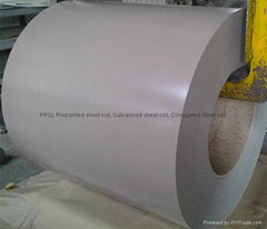 prepainted sheet coil