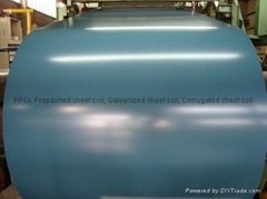 hot-dipped galvanized sheet coil