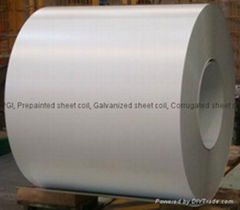 Prepainted Galvanized Sheet Coil