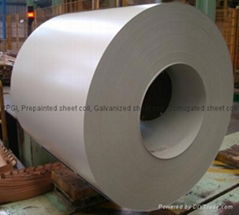 Prepainted Galvanized Sheet Coil