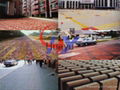 sell HY-150K Terrazzo floor tile making machine 4