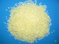 DCPD Hydrocarbon Resin