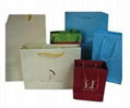 gift bag  2