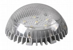 Transparent Semicircular Energy Saving LED Point Light